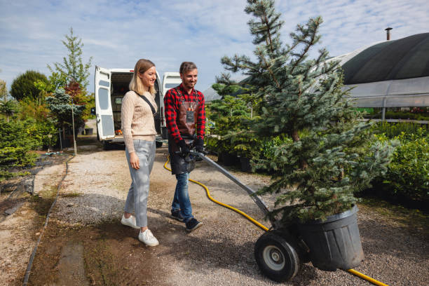 Best Stump Grinding and Removal  in Chincoteague, VA